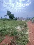 50x100ft Hilltop Plots for Sale in Kisoga, Mukono - 5