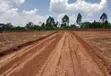Prime Plots for Sale at Bulondo~Mabombwe, Wakiso - 1