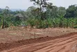 Prime Plots for Sale at Bulondo~Mabombwe, Wakiso - 4