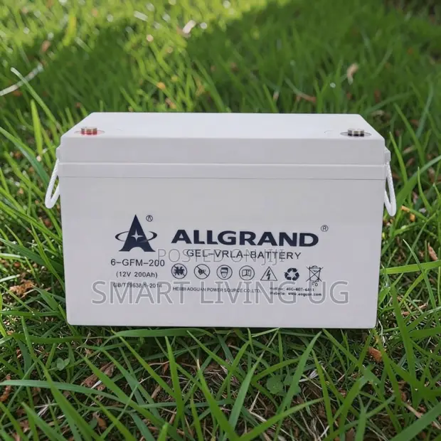 Heavy-Duty Allgrand 200Ah Pure Gel Battery for Off-Grid Power - 1