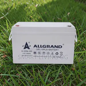 Heavy-Duty Allgrand 200Ah Pure Gel Battery for Off-Grid Power