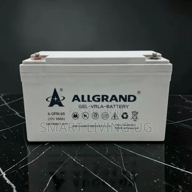 Allgrand 65Ah Pure Gel Battery: Long-Life Solar & Inverter Power - 1