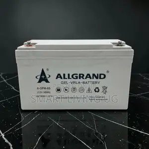 Allgrand 65Ah Pure Gel Battery: Long-Life Solar & Inverter Power