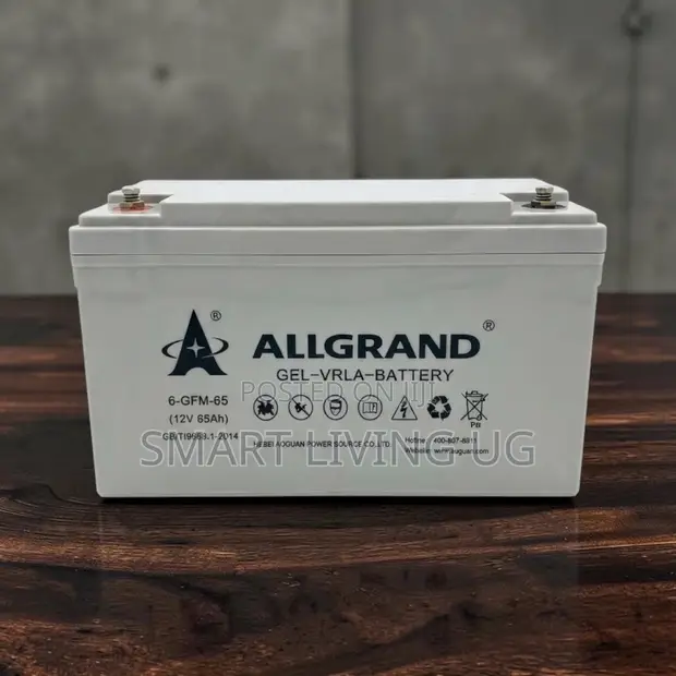 Allgrand 12V 65Ah Deep Cycle Gel Battery - 1