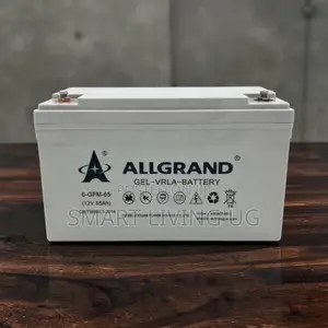 Allgrand 12V 65Ah Deep Cycle Gel Battery