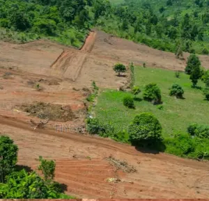 Prime Plots for Sale at Gobero~Kibujo Land Estate, Hoima Road