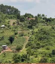 Prime Plots for Sale at Gobero~Kibujo Land Estate, Hoima Road - 4