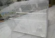 White Rectangular Bird Cage - 1