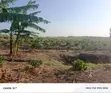 Fertile Mailo Land for Sale in Lwengo - 4