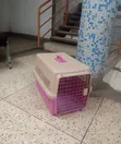 Dog Cat Crate Pet Carrier Airline Rabbit Cage with Tray and Bowl - 1
