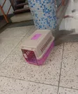 Dog Cat Crate Pet Carrier Airline Rabbit Cage with Tray and Bowl - 2