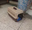 Airlines Approved Travel Carrier for Pets - 1