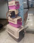 Airlines Approved Travel Carrier for Pets - 2