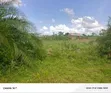 Industrial Land for Sale on Bukakatta Road - 1