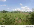 Industrial Land for Sale on Bukakatta Road - 2