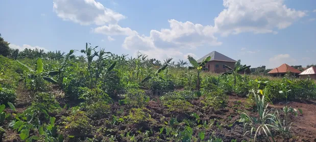 Plot of Land for Sale in Gombe - 1