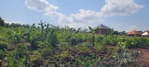 Plot of Land for Sale in Gombe