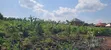 Plot of Land for Sale in Gombe - 1