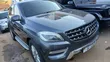 Mercedes-Benz M Class 2013 Blue - 1