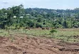 Prime Plots for Sale at Kakiri-Nampunge Elite Land Estate - 2