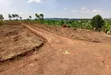 Prime Plots for Sale at Kakiri~Mwera Elite Land Estate - 5