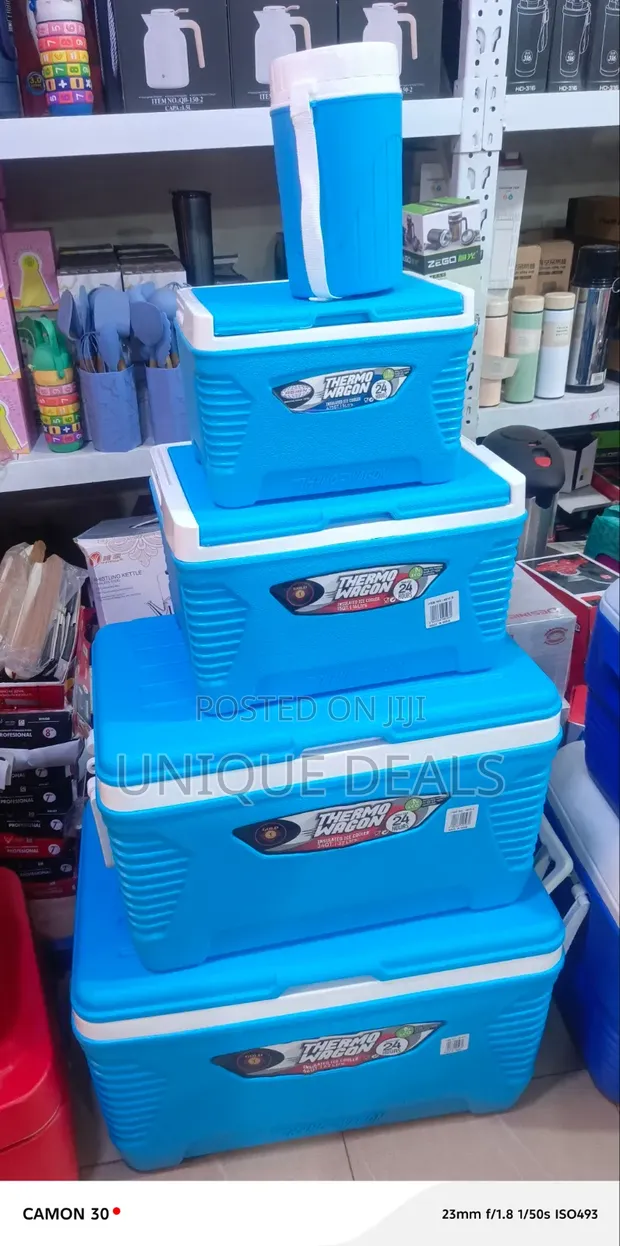 Asian Thermo Wagon Insulated Ice Cooler Boxes - 1