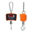 Digital Hanging Scale 500kg - 2