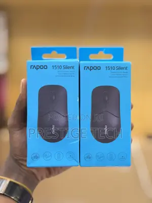 Rapoo 1510 Wireless Optical Mouse