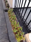 Modern Paving & Gardening Masters in Kampala - 2