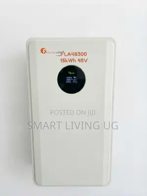 15kWh Felicity Lithium Battery 48V 300Ah