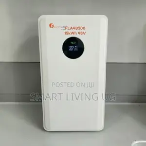 Felicity 300Ah Lithium Battery - 48V 15kWh