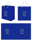 Branded Paper Bags - Printing & Design - 1