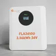 2.56kWh Felicity Lithium Battery for Backup Power - 1