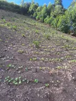 Plot for Sale in Koranorya, Mbarara - 1