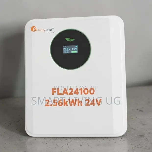 Felicity 2.56kWh Lithium Battery - 24V 100Ah - 1