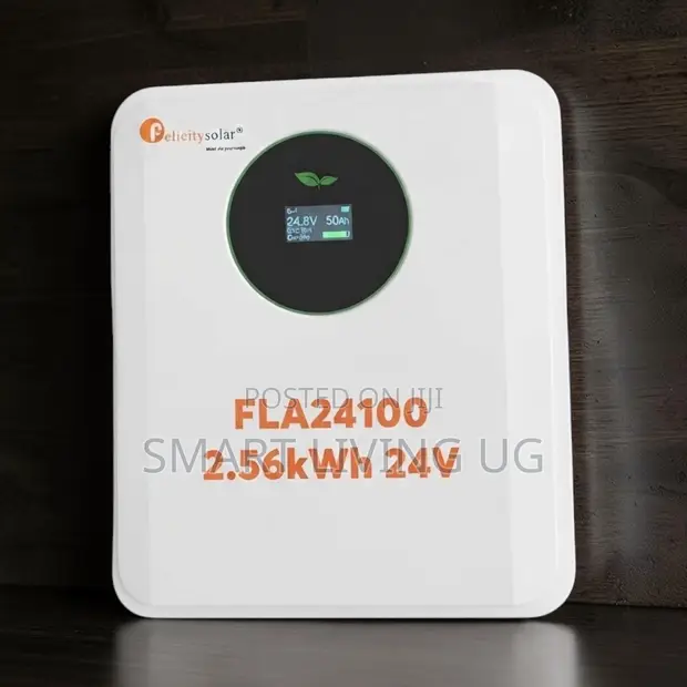High-Capacity Felicity 24V 100Ah Lithium Battery - 1