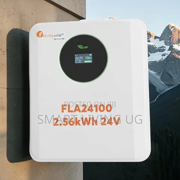 Premium Felicity 2.56kWh Lithium Battery - 24V - 1