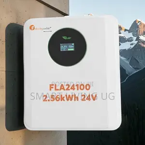 Premium Felicity 2.56kWh Lithium Battery - 24V