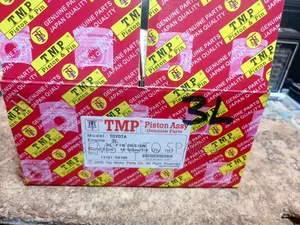 Pistons Set 3L TMP