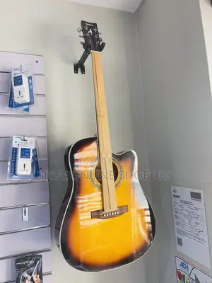 Brand New Mahogany Powered Acoustic Guitar