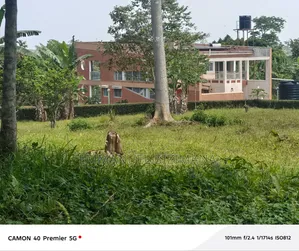 Furnished 6-Bedroom House for Sale in Katosi, Central Division