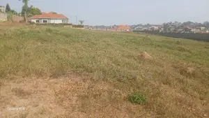 4 Bedroom Bungalow on 2 Acres in Kira, Nsasa