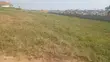 4 Bedroom Bungalow on 2 Acres in Kira, Nsasa - 4