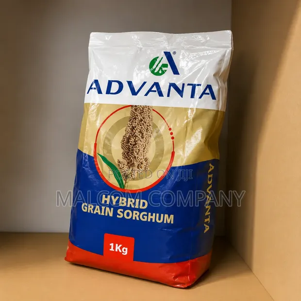 Advanta Hybrid Grain Sorghum Seeds 1kg - 1
