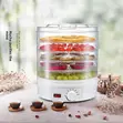 Brand New 5-Tier Electric Food Dehydrator - 1