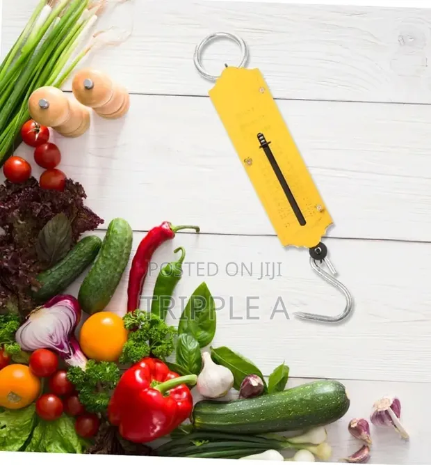 25kg Pocket Spring Weighing Scale - 1