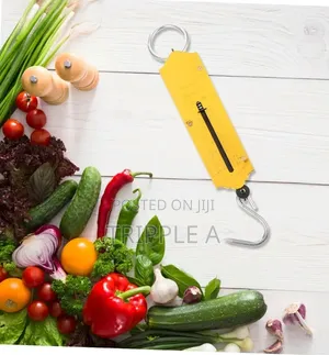 25kg Pocket Spring Weighing Scale