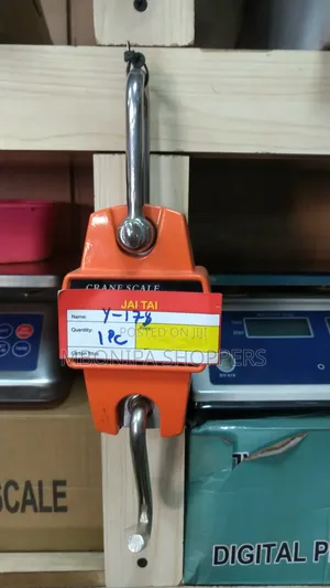 300Kg Digital Hanging Crane Scale