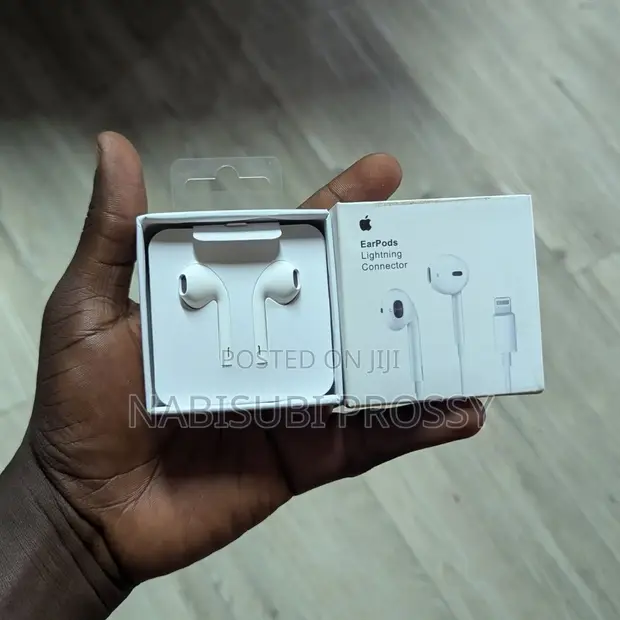 iPhone Lightning Earphones - 1