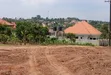Prime Plots for Sale at Namusera, Wakiso Diplomatic Estate - 4